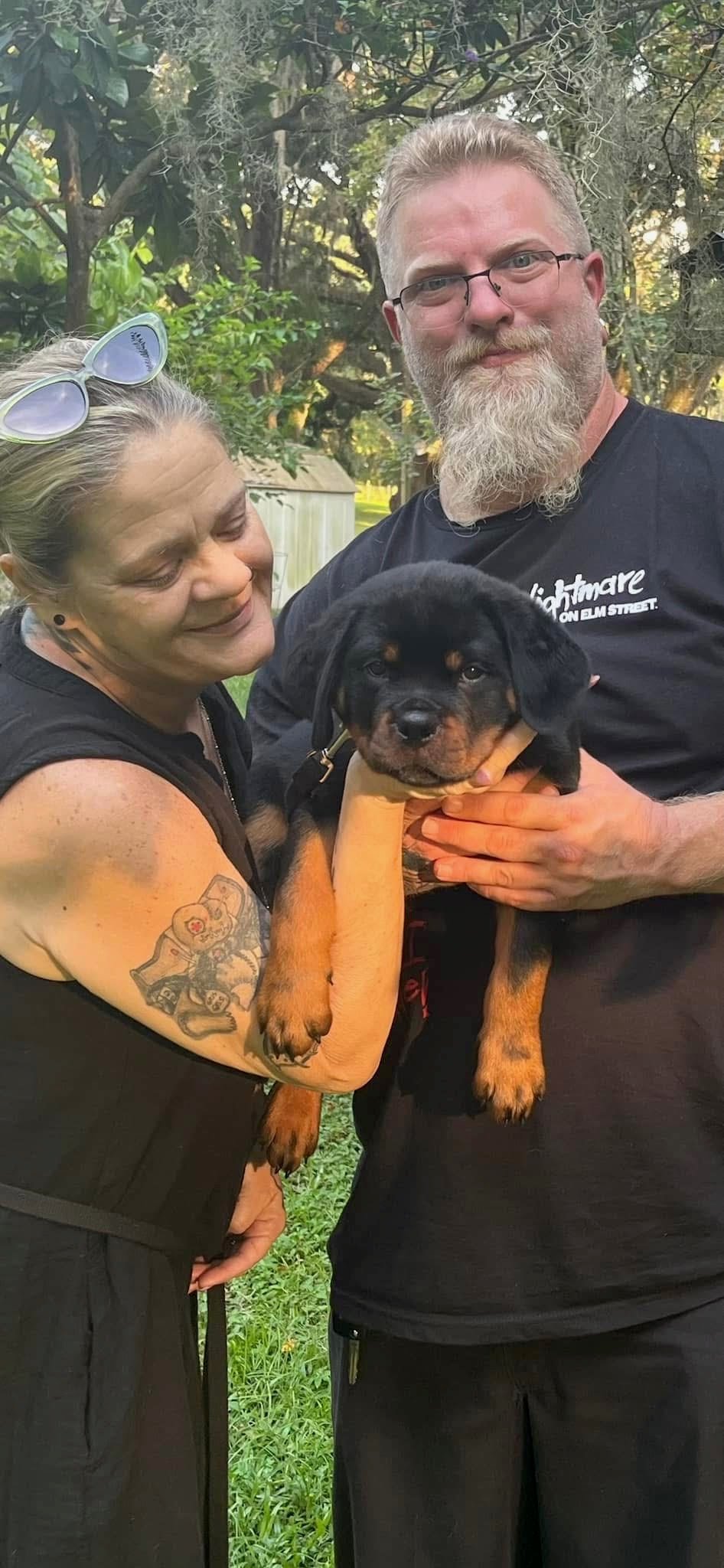 Rottweiler puppy from Carla Johaus Rottweilers, Dade City FL - photo 44 of 68